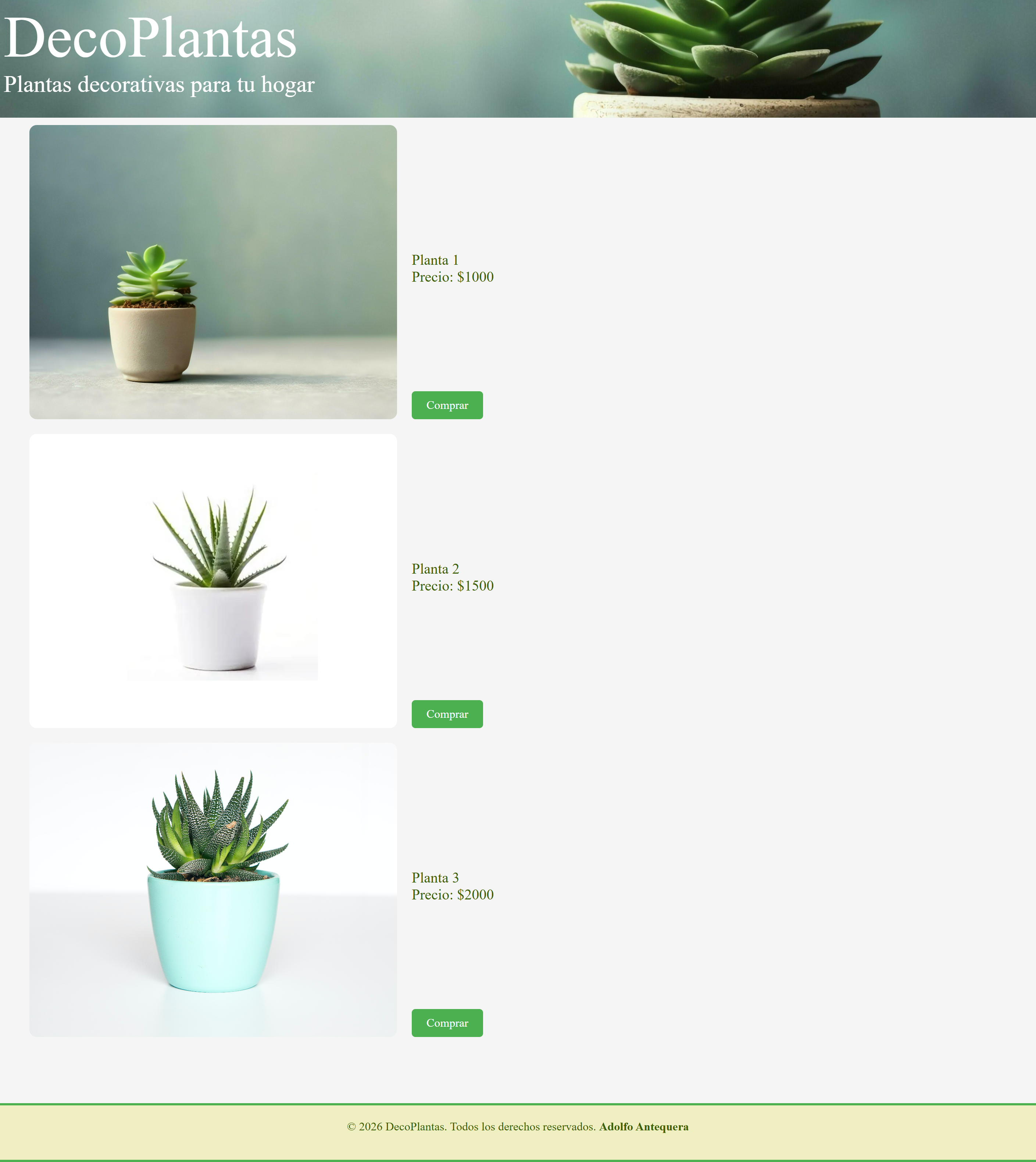 Deco Plantas